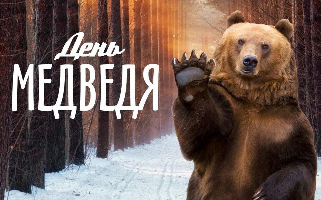День медведя!.