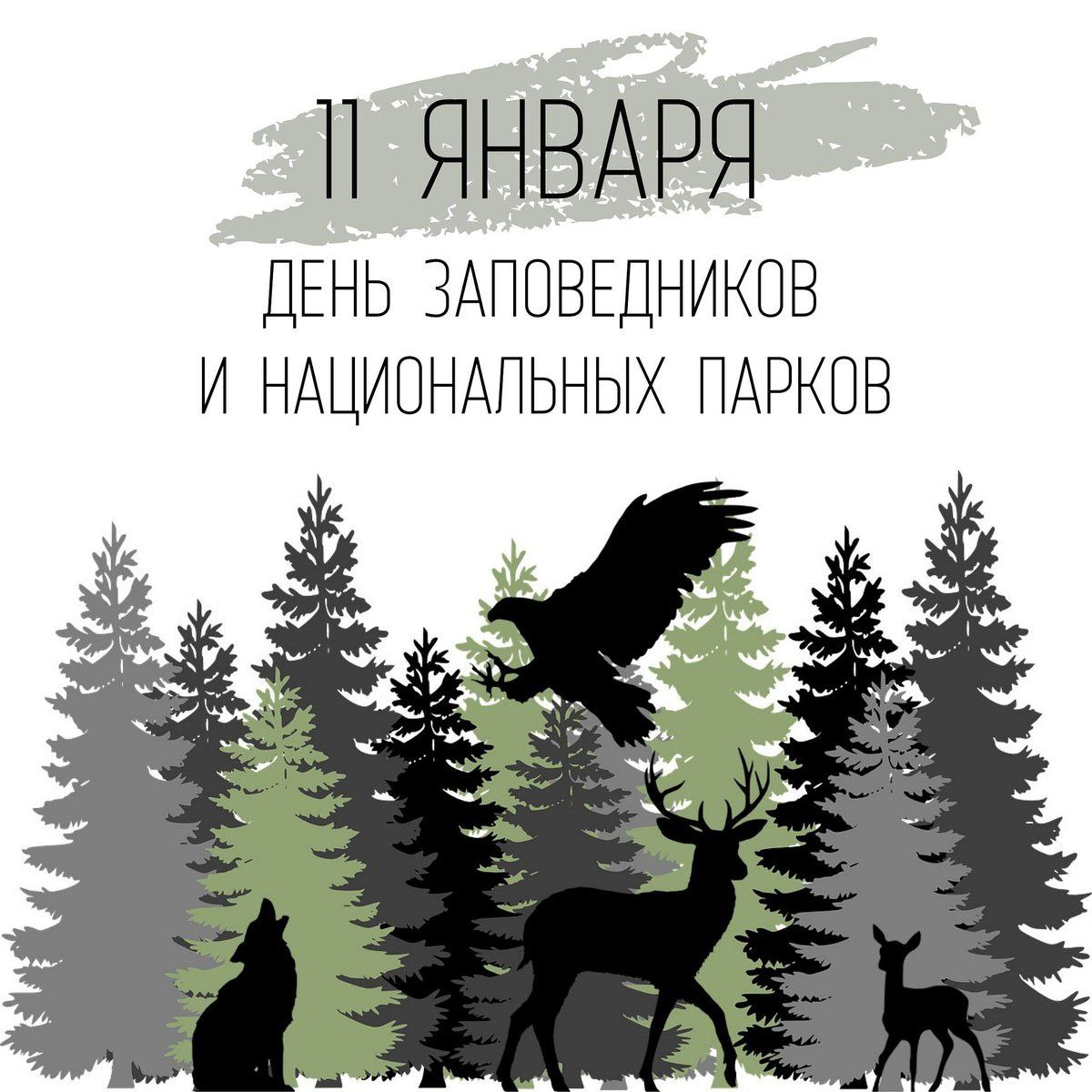 «Всероссийский день заповедников и национальных парков».